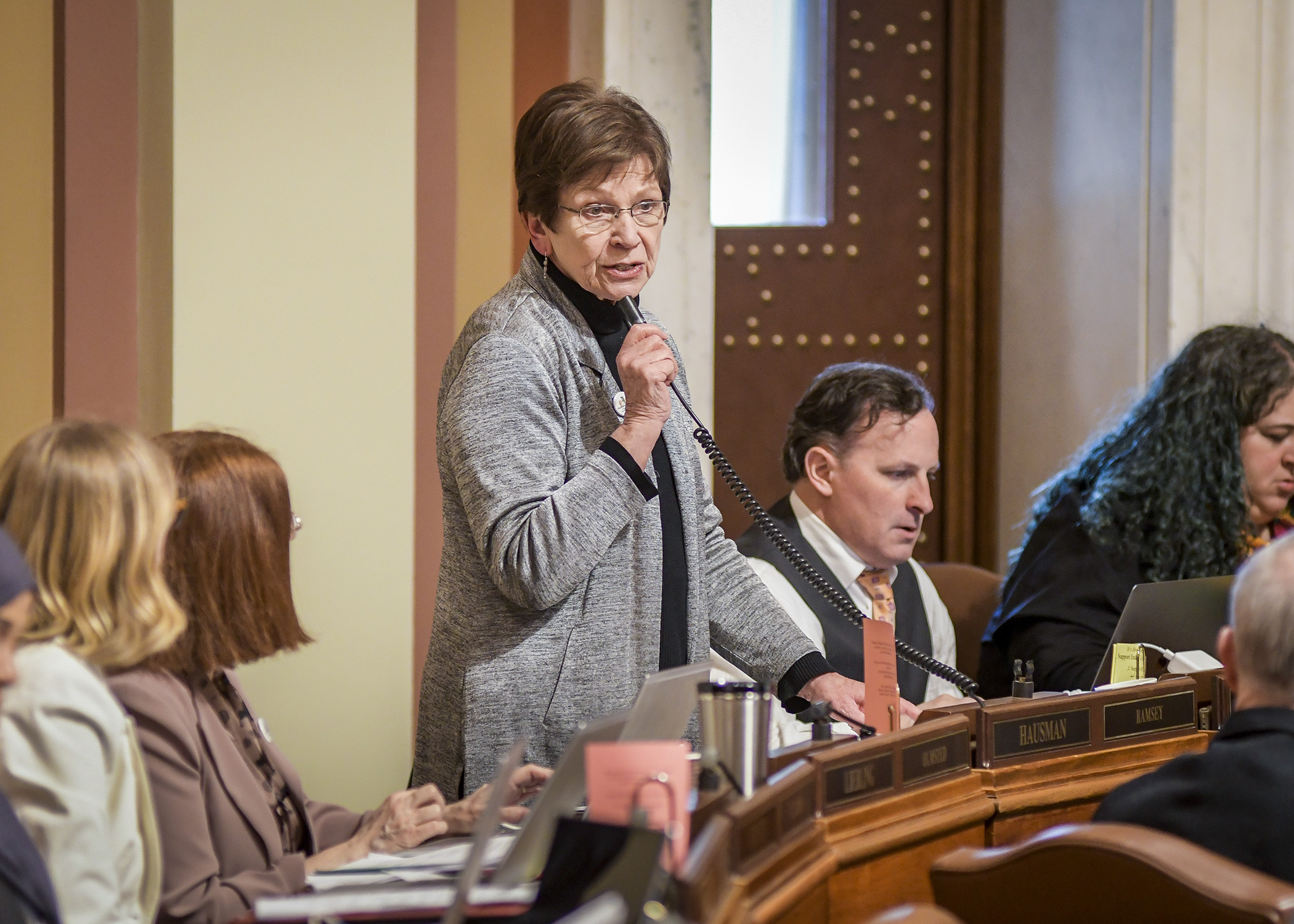 Rep. Alice Hausman presents HF2542, the omnibus housing policy bill, on the House Floor May 6. Photo by Andrew VonBank